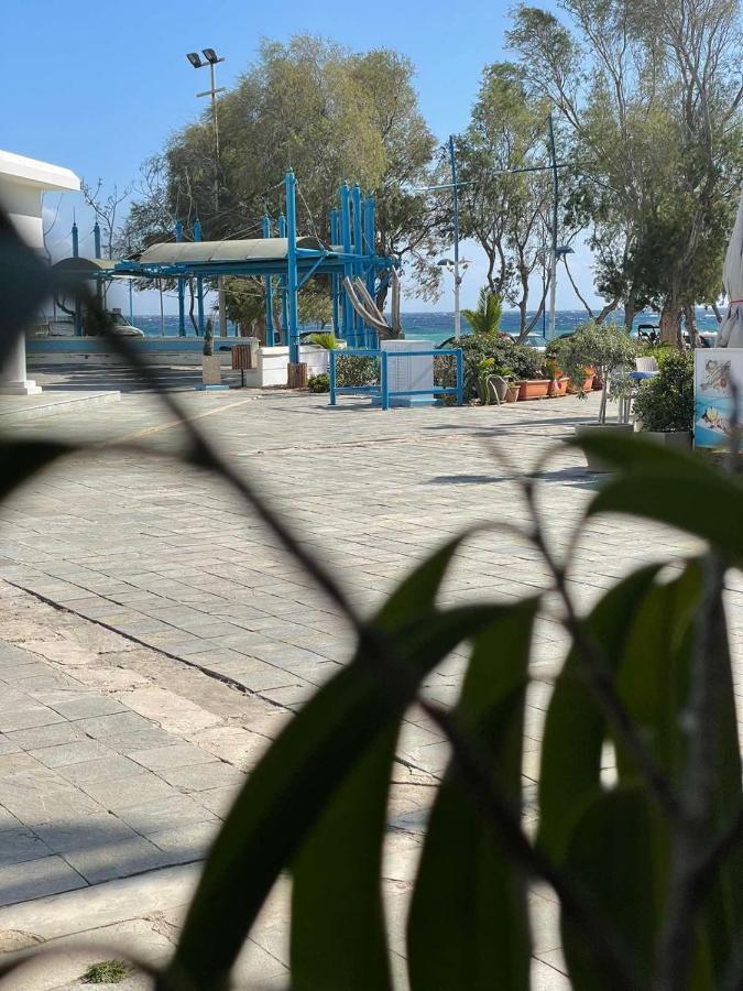 Ocean Dreams - By The Harbour Bed & Breakfast